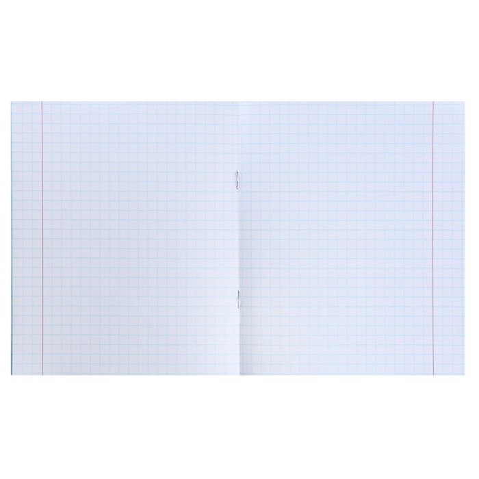 Набор тетрадей 12 листов в крупную клетку «Зелёная обложка», 60 г/м², белые листы, 10 шт.