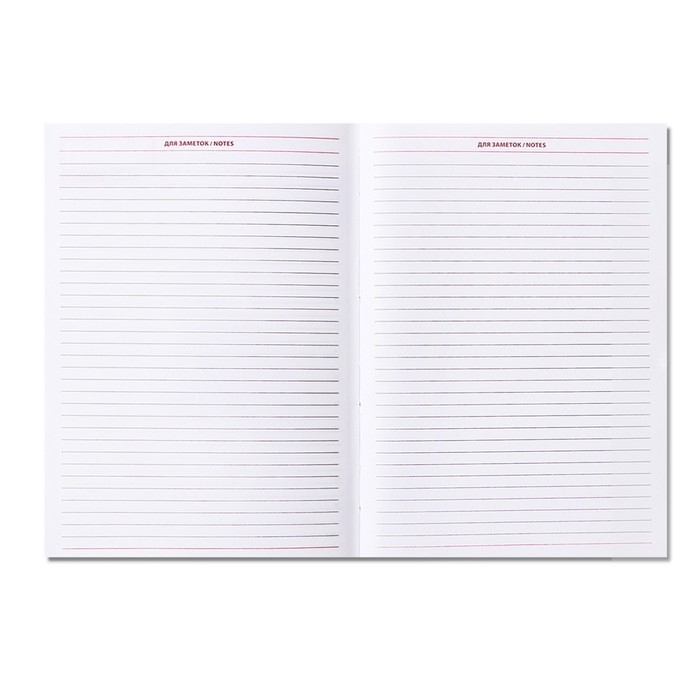 Ежедневник недатированный А5, 160 листов  Ежедневник недатированный А5, 160 листов "Небраска", перфорация углов, красный