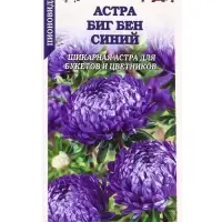 Семена Астра Биг Бен синий /Сотка/ 0,2г/ пион. 65см, d-10см/*1500 Семена Астра Биг Бен синий /Сотка/ 0,2г/ пион. 65см, d-10см/*1500
