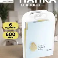 Папка А4 Eco, 6 отделений, 650 мкм, вертикальная, с ручкой, прозрачная, с рисунком