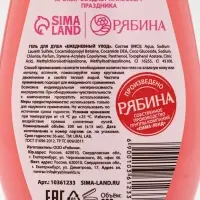 Гель для душа &laquo;С Новым годом&raquo;, lovely lollipop, набор 2 шт. &times; 200 мл, URAL LAB