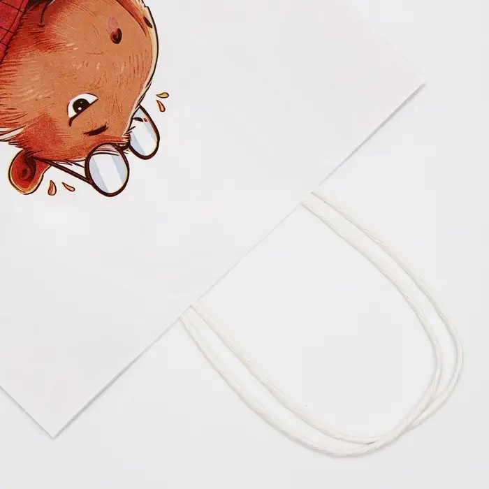 Пакет подарочный бумажный, «Молодая», 24×10.5×32 см