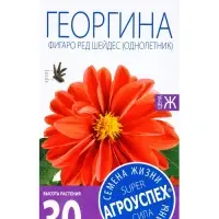 Семена цветов Георгина Фигаро Ред Шейдес Агроуспех 7шт (400)