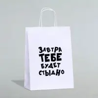 Пакет подарочный «Завтра тебе будет стыдно», 24×10.5×32 см, 1 шт.