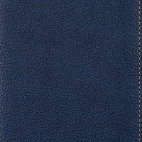 Ежедневник недатированный А5,142x210мм,176л,синий АТТАСНЕBizon