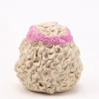Фигурка декоративная &laquo;Овечка Юля&raquo;, 6&times;6 см, слоновая кость