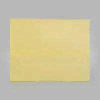 Пакет подарочный, ламинированный, горизонтальный, 32&times;25&times;11 см, сливочный