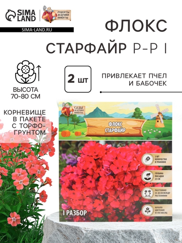 Флокс «Старфайр» корневище в пакете с торфогрунтом, р-р I, 2 шт.