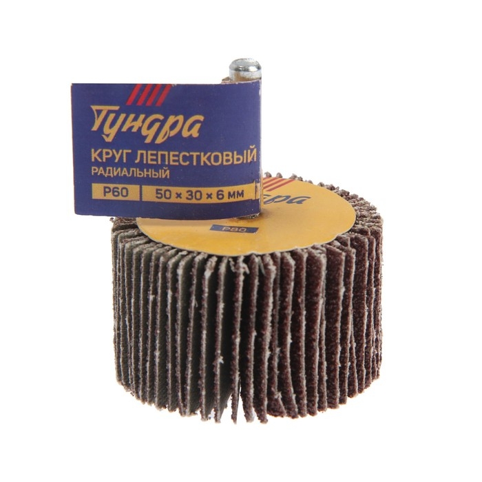 Круг лепестковый радиальный ТУНДРА, 50 х 30 х 6 мм, Р60 Круг лепестковый радиальный ТУНДРА, 50 х 30 х 6 мм, Р60