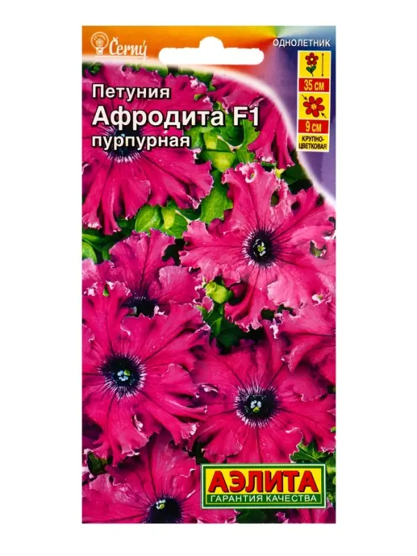 Семена цветов Петуния Афродита F1 пурпурная крупноцветковая бахромчатая (драже) С. Cerny, Ц/П,7 шт. Семена цветов Петуния Афродита F1 пурпурная крупноцветковая бахромчатая (драже) С. Cerny, Ц/П,7 шт.