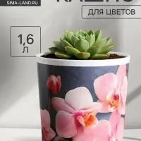 Кашпо для цветов &laquo;Орхидея&raquo;, 1.6 л, d=14 см, h=14 см, пластиковое
