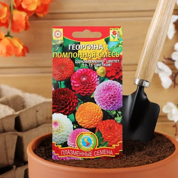 Семена Георгина махровая  Семена Георгина махровая "Помпонная", смесь, 12 шт
