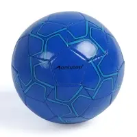 Футбольный мяч ONLYTOP, машинная сшивка, 32 панели, р. 5, PVC, резиновая камера, синий