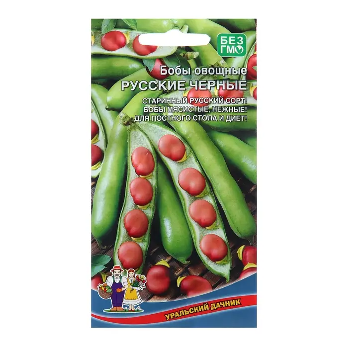 Семена Бобы  Семена Бобы "Русские черные", 6 шт
