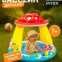 Бассейн надувной &laquo;Гриб&raquo;, 102&times;89 см, от 1-3 лет, 57114NP INTEX
