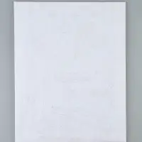 Картина по номерам &laquo;Еловый букет&raquo;, 40&times;50 см