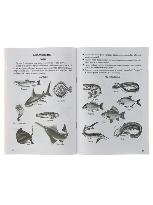 Рабочая тетрадь для детей 5-6 лет &laquo;Знакомимся с окружающим миром&raquo;, Бортникова Е.