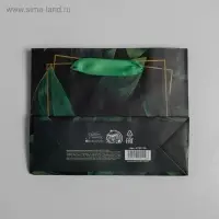 Пакет подарочный ламинированный, упаковка, Present for you, S 15&times;12&times;5.5 см