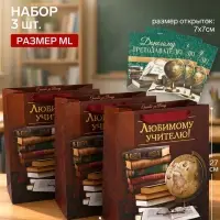 Пакеты подарочные с открыткой &laquo;Дорогому преподавателю&raquo;, 23&times;27&times;11.5 см, набор 3 шт.
