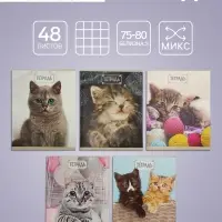 Тетрадь 48 листов в клетку Calligrata «Милые котята», обложка мелованный картон, блок №2, белизна 75% (серые листы), МИКС