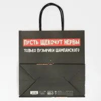 Пакет подарочный новогодний &laquo;Только пузырики&raquo;, 22&times;22&times;11 см