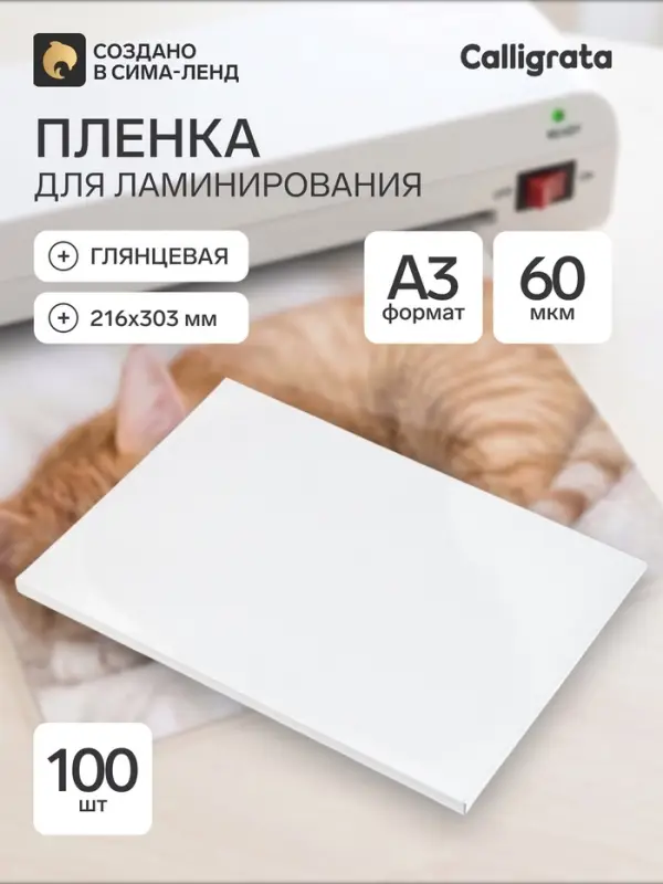 Пленка для ламинирования A3, 100 штук, глянцевая, 60 мкм, 303&times;426 мм