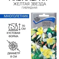 Семена цветов Аквилегия гибридная Желтая звезда, 0,05гр
