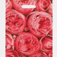 Пакет полиэтиленовый с вырубной ручкой &laquo;Пионы&raquo;, розовые, 30&times;40 см, 50 мкм