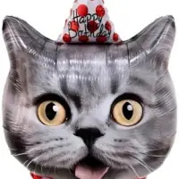 Воздушный шар фольгированный 29" &laquo;Кот в колпаке&raquo;