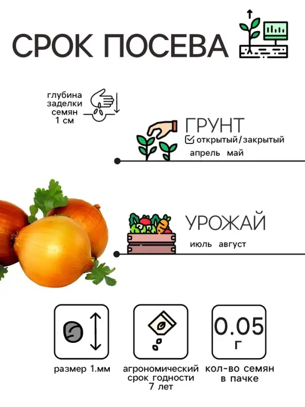 Семена Лук репчатый  Семена Лук репчатый "Штуттгартер Ризен", 0,05 г