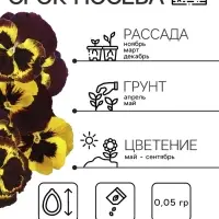 Семена Виола "Африка", ц/п, 0,05 г Семена Виола "Африка", ц/п, 0,05 г