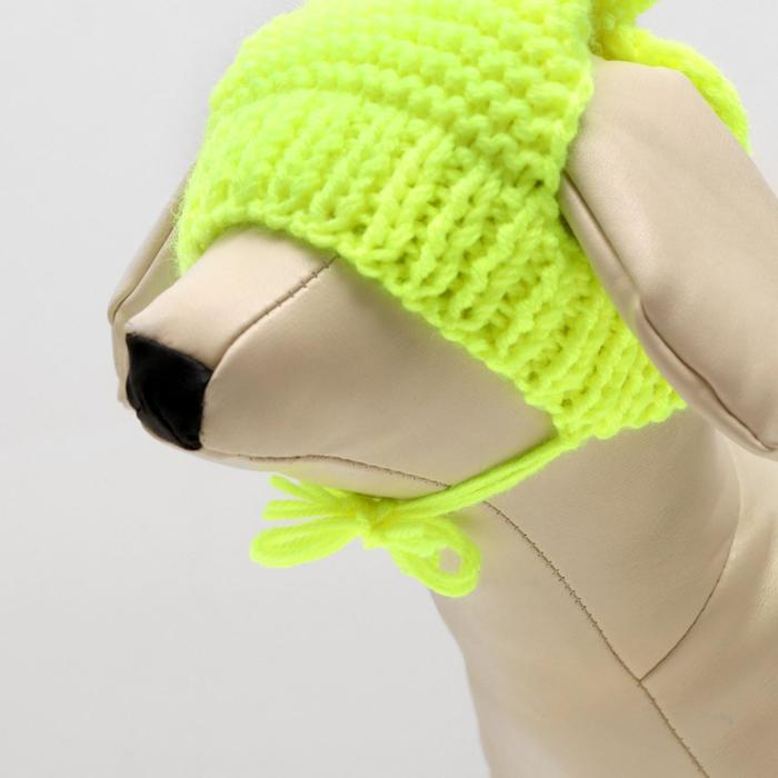 Шапка вязаная для собак, XS-S (объем головы 22-24 см, высота 7,5 см), микс Шапка вязаная для собак, XS-S (объем головы 22-24 см, высота 7,5 см), микс