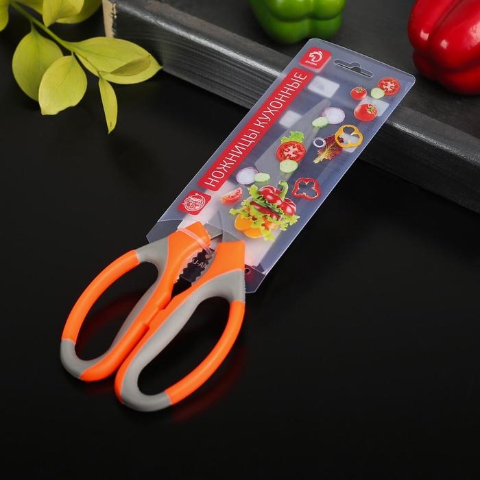 Ножницы кухонные Доляна «Драйв», 22 см, с открывалкой для бутылки, цвет МИКС Ножницы кухонные Доляна «Драйв», 22 см, с открывалкой для бутылки, цвет МИКС