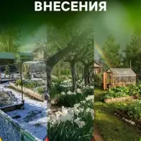 Картофельная формула, удобрение для картофеля, 5 кг