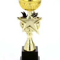 Кубок под нанесение 189, наградная фигура, золото, подставка пластик, 24.5 см