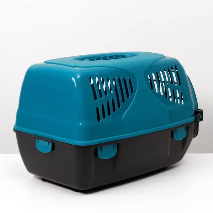 Переноска для животных &laquo;Сириус&raquo;, 33.5&times;31&times;50 см, пластик, бирюзовая