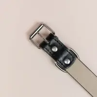 VETTA Ошейник для домашних животных, искусственная кожа, 2,5х50 см, обхват 35,5-45,5 см