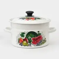 Кастрюля эмалированная, 5 л, с крышкой, деколь МИКС, белая