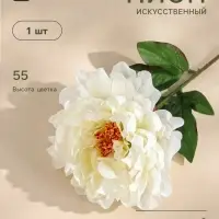 Цветы искусственные &laquo;Пион бархатный&raquo;, 15&times;55 см, белые