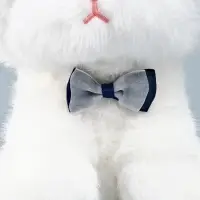 Мягкая игрушка "Милый котик" 23 см