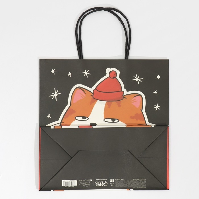 Пакет подарочный новогодний «Счастье», 22 х 22 х 11 см Пакет подарочный новогодний «Счастье», 22 х 22 х 11 см