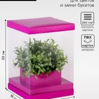 Коробка для цветов с вазой и PVC окнами складная, 16&times;23&times;16 см, однотонный, лаванда