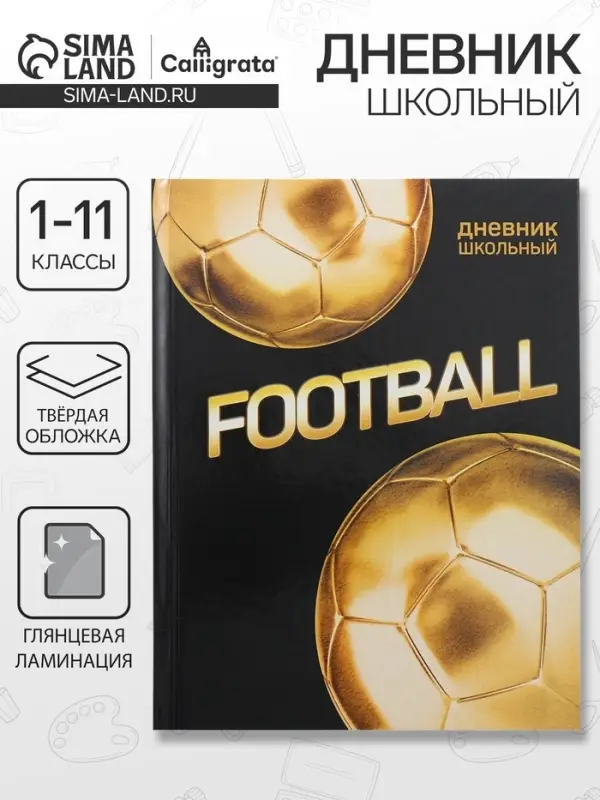 Дневник школьный для 1-11 классов, &laquo;Золотой мяч&raquo;, твёрдая обложка 7БЦ, глянцевая ламинация, 40 листов