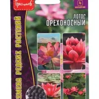 Семена цветов Лотос Орехоносный  2 шт.  12.29 г.