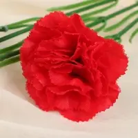 Цветы искусственные &laquo;Куст гвоздики&raquo;, h=70 см, d=7 см, МИКС