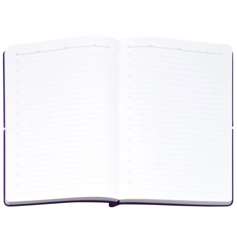 Ежедневник Flexpen Bright, недатированный, фиолетовый