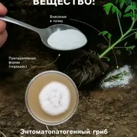 Средство от насекомых и вредителей &laquo;Боверин&raquo;, 50 г