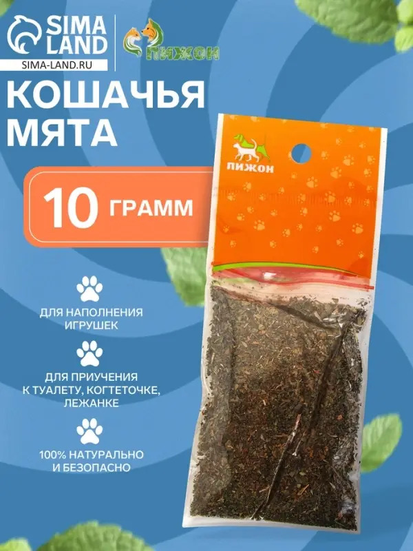 Кошачья мята  Кошачья мята "Пижон", 10 г