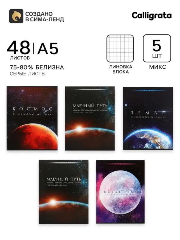 Тетради 5 штук (4 разные, 1 повторяющаяся), 48 листов в клетку &laquo;Космос&raquo;, серые листы, обложка мелованная, блок №2