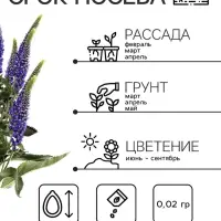 Семена Вероника "Синяя", ц/п, 0,02 г Семена Вероника "Синяя", ц/п, 0,02 г
